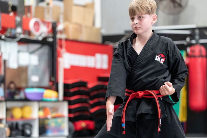 <center>Adult Martial Arts is an Excellent Way to Learn Self-Defense and Fitness!<center>